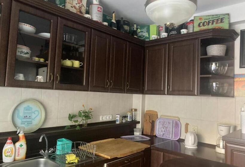 اتاق خانوادگی, Apartman Donau Tát