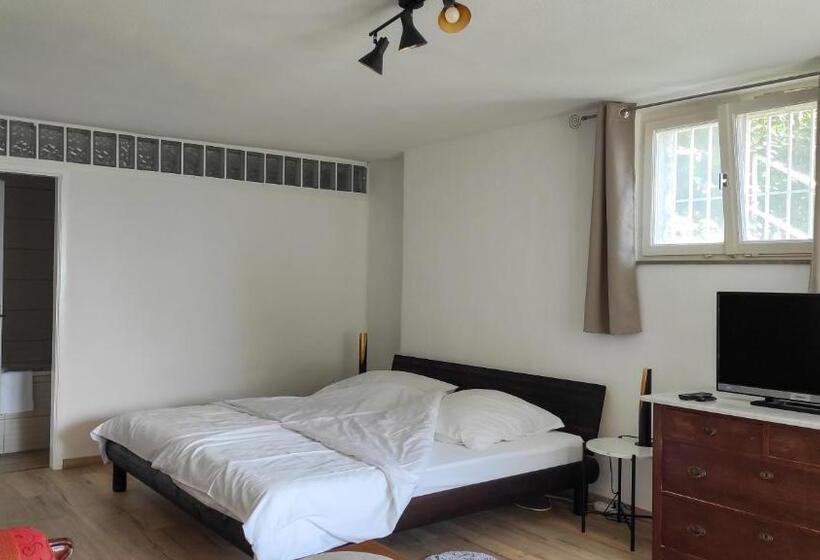 اتاق استاندارد با تراس, Haus Am Trielberg