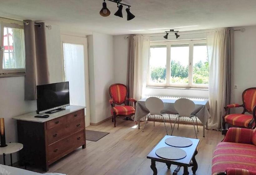 اتاق استاندارد با تراس, Haus Am Trielberg