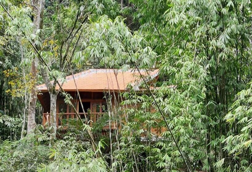 سوییت اجرایی, Gumi Ayu Ecostay