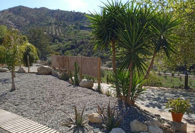 استودیو استاندارد با تراس, Finca Las Hierbas B&b