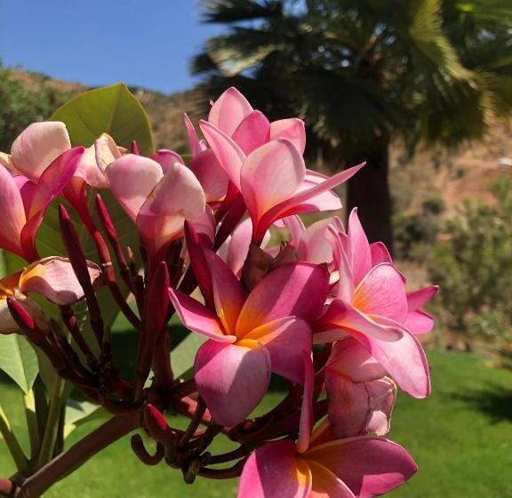 اتاق استاندارد با تخت بزرگ, Finca Las Hierbas B&b