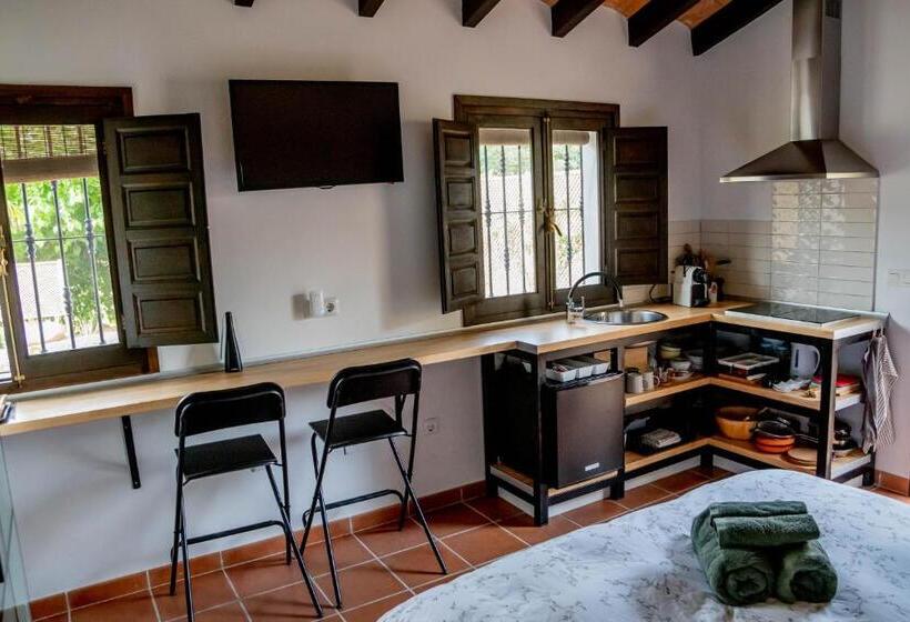 استودیو استاندارد با تراس, Finca Las Hierbas B&b