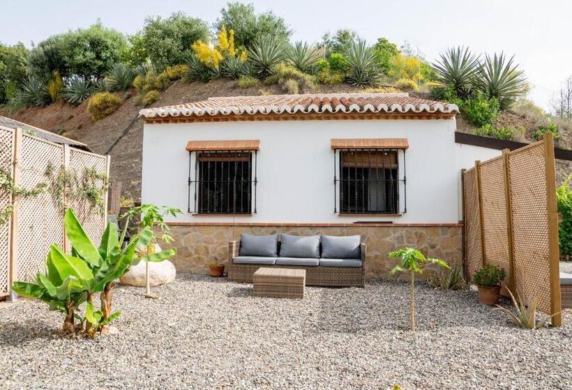 استودیو استاندارد با تراس, Finca Las Hierbas B&b