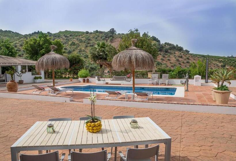 اتاق استاندارد با تخت بزرگ, Finca Las Hierbas B&b