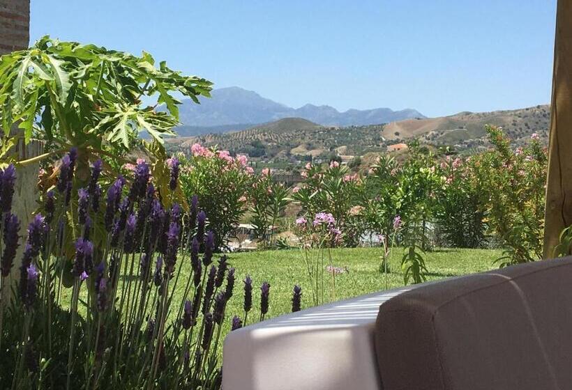 استودیو استاندارد با تراس, Finca Las Hierbas B&b
