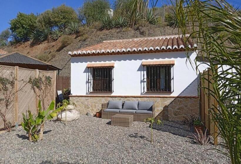 استودیو استاندارد با تراس, Finca Las Hierbas B&b