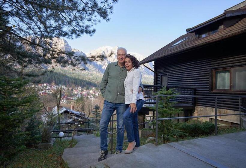 کلبه ییلاقی سوپریور یک خوابه, Chalet & Spa Maestrul Si Margareta