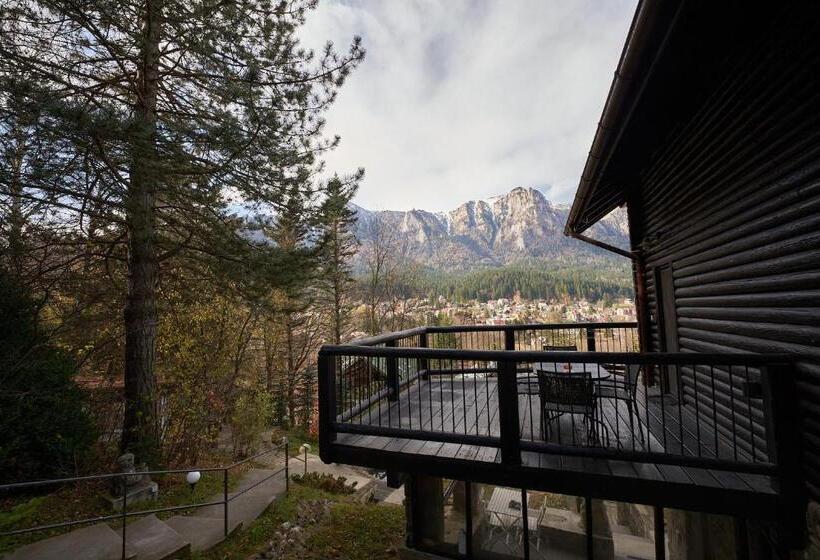 آپارتمان 1 خوابه با چشم‌انداز, Chalet & Spa Maestrul Si Margareta