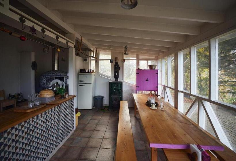 آپارتمان 1 خوابه با چشم‌انداز, Chalet & Spa Maestrul Si Margareta