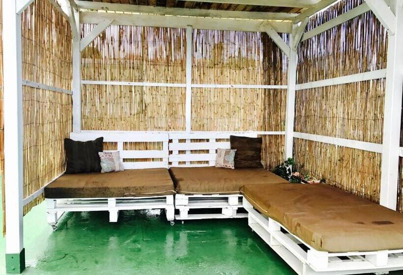 اتاق استاندارد یک تخته با سرویس بهداشتی مشترک, Wifi Tenerife Sur Guest House