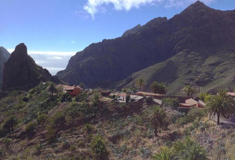 اتاق استاندارد با سرویس بهداشتی مشترک, Wifi Tenerife Sur Guest House