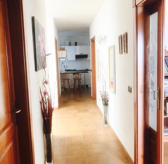 اتاق استاندارد یک تخته با سرویس بهداشتی مشترک, Wifi Tenerife Sur Guest House