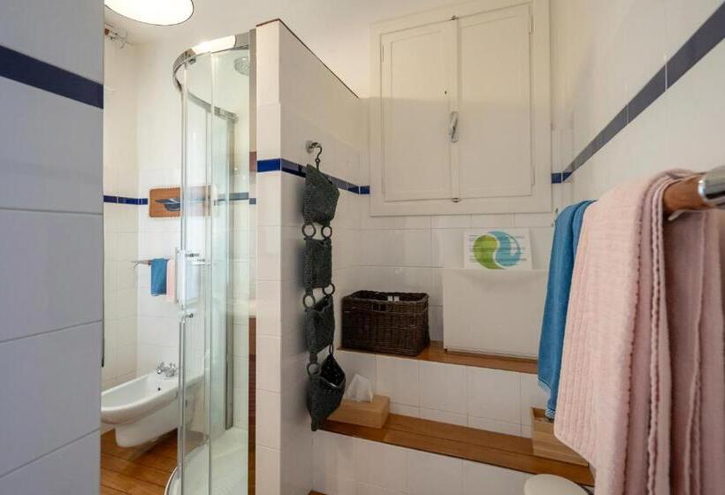 اتاق استاندارد, B&b And Sail