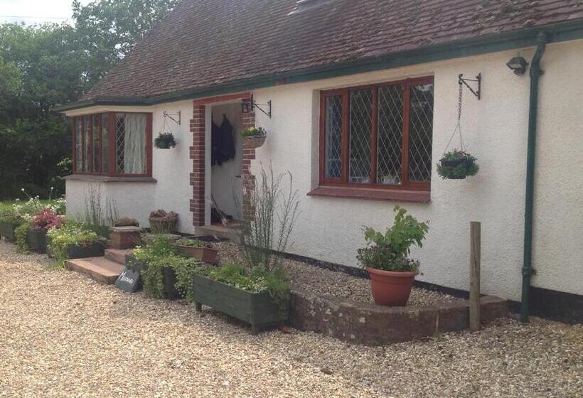 اتاق استاندارد با تخت بزرگ, Meadowview