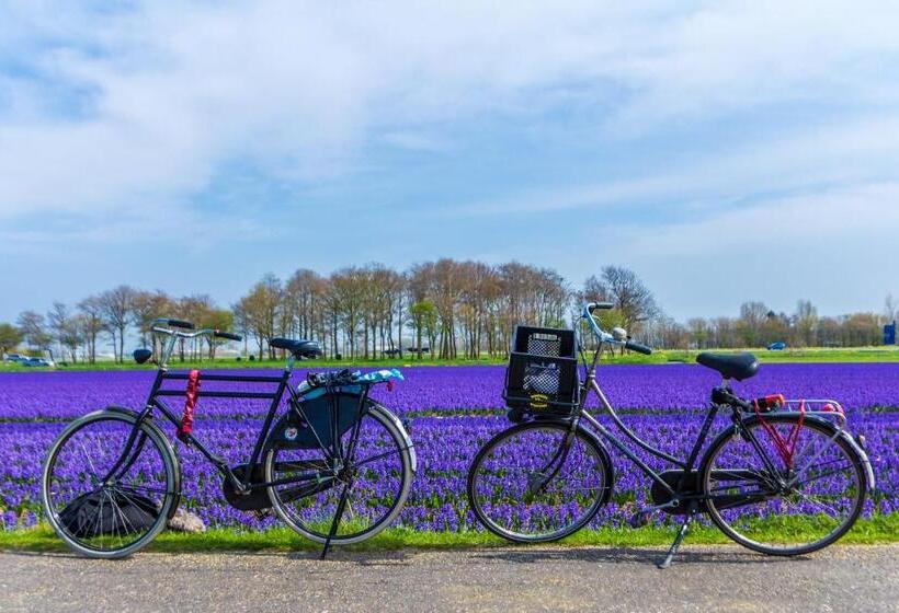 اتاق لوکس با بالکن, Slapen Bij De Buurvrouw