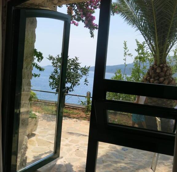 اتاق استاندارد, Kulube