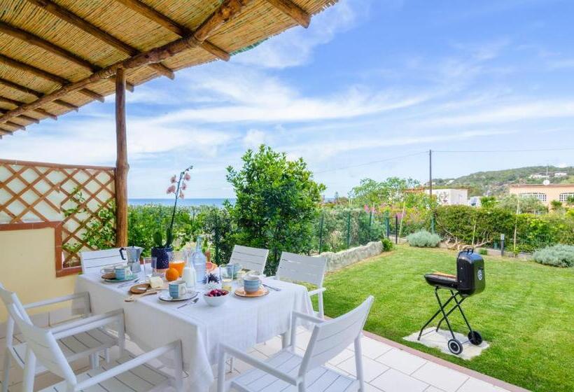 خانه 1 خوابه, Orablu Exclusive Villas