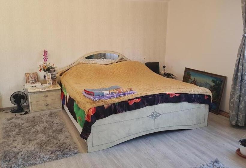 اتاق استاندارد با سرویس بهداشتی مشترک, Casa Cojanu