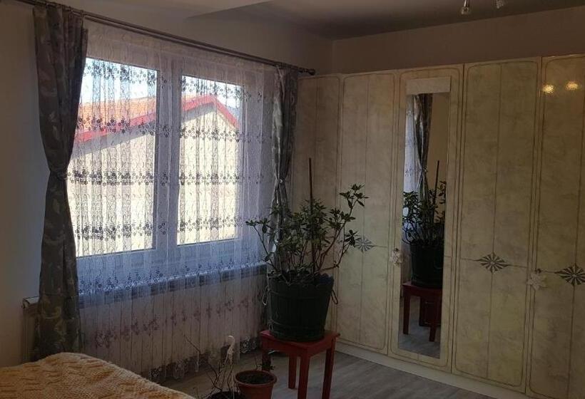 اتاق استاندارد با سرویس بهداشتی مشترک, Casa Cojanu