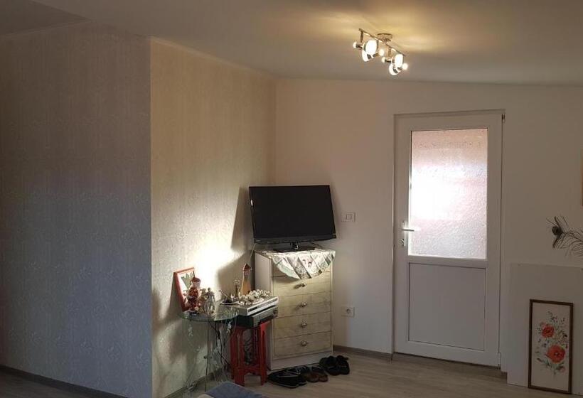 اتاق استاندارد با سرویس بهداشتی مشترک, Casa Cojanu