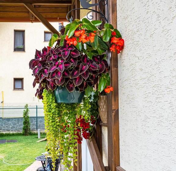 آپارتمان 1 خوابه همکف, Residence Rooms Bucovina