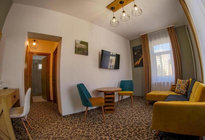 آپارتمان 1 خوابه همکف, Residence Rooms Bucovina