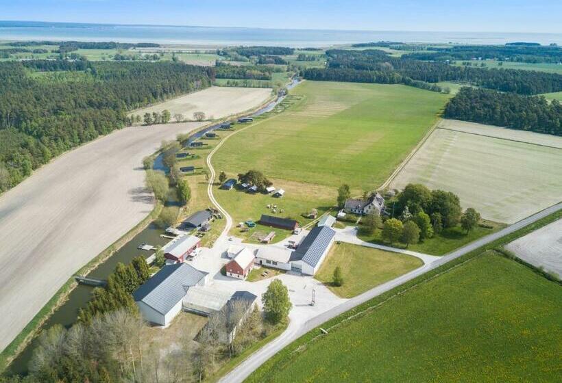 اتاق استاندارد, Gangvidefarm