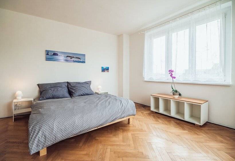 آپارتمان اجرایی 1 خوابه, Skodova Apartments