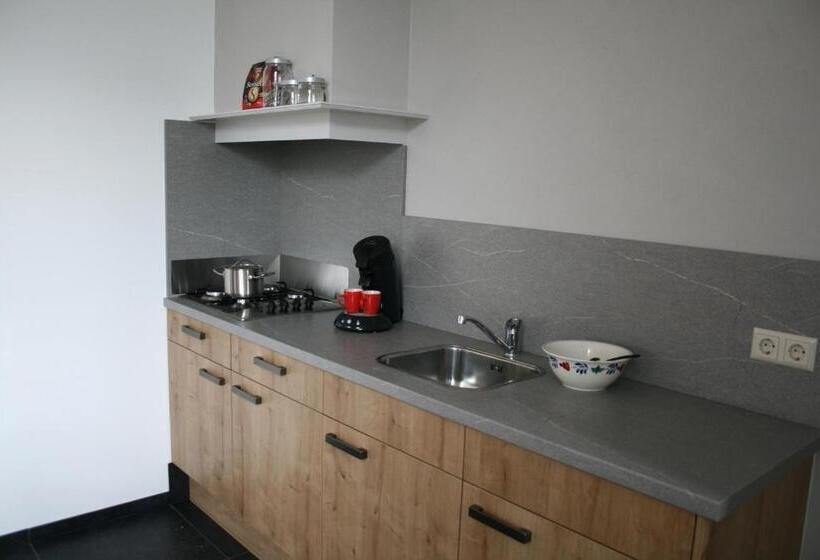 豪华房间, De Borg Vakantie Appartementen
