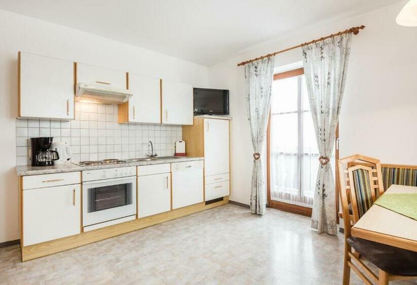 带2个卧室的公寓, Scharfetthof