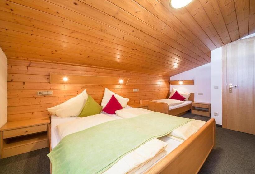 带2个卧室的公寓, Scharfetthof