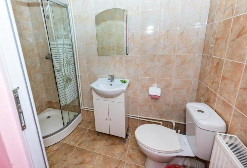 آپارتمان 2 خوابه, Pensiunea Tavisa