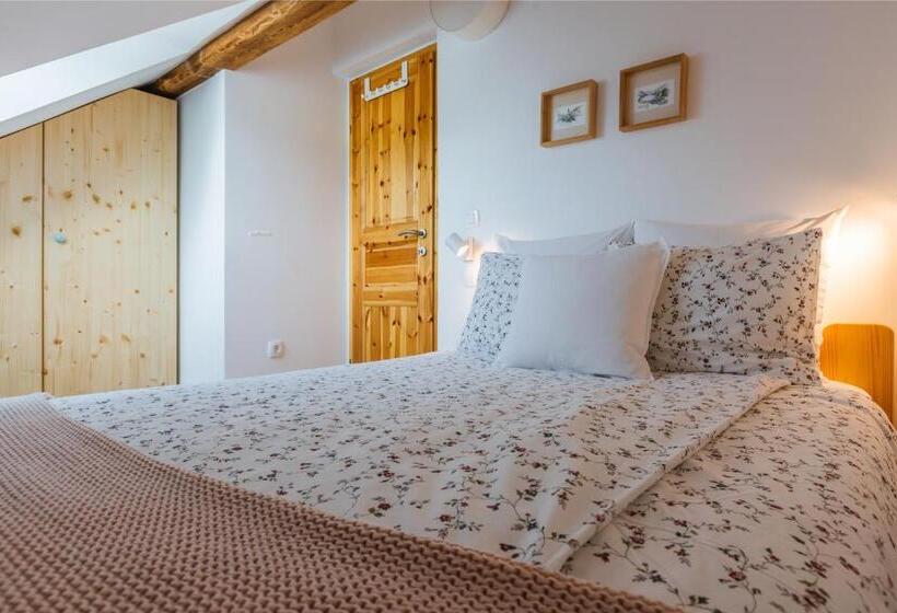 1 Bedroom Penthouse Apartment, Pr Jernejc Agroturism