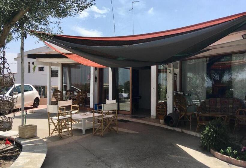 استودیو خانوادگی, Music House Alle Grotte