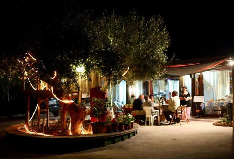 خانه 2 خوابه, Music House Alle Grotte