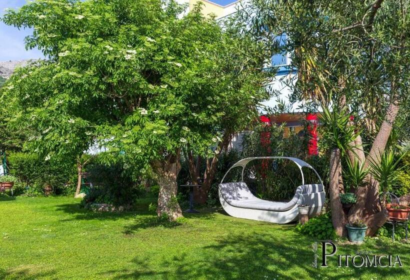 Standaardkamer met Uitzicht op Zee en Terras, Villa Pitomcia