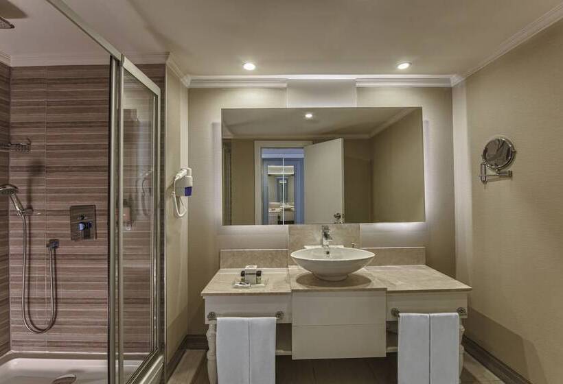 اتاق سوپریور با چشم‌انداز جانبی دریا, Delphin Imperial Lara