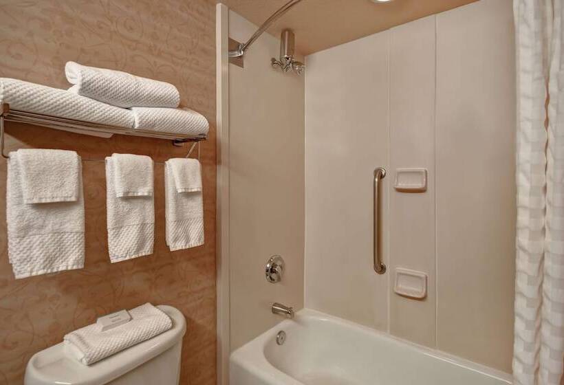 سوئیت برای معلولان, Embassy Suites By Hilton Hot Springs  And Spa