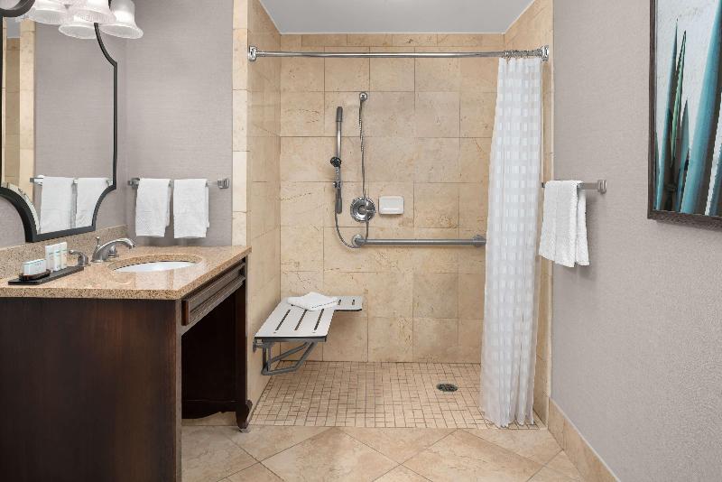 سوئیت 2 خوابه, Embassy Suites San Antonio Riverwalk Downtown