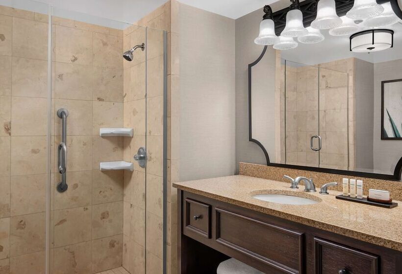سوییت, Embassy Suites San Antonio Riverwalk Downtown