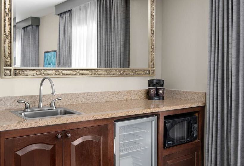 سوییت, Embassy Suites San Antonio Riverwalk Downtown