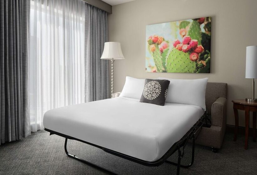 سوئیت برای معلولان, Embassy Suites San Antonio Riverwalk Downtown