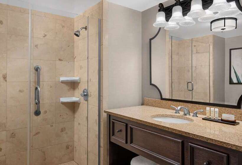 سوئیت با تخت بزرگ, Embassy Suites San Antonio Riverwalk Downtown