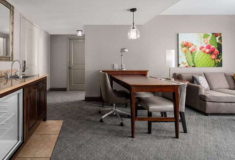 سوئیت با تخت بزرگ, Embassy Suites San Antonio Riverwalk Downtown