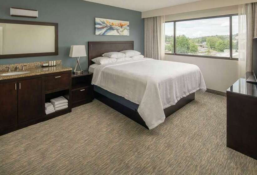سوئیت 2 خوابه, Embassy Suites San Antonio Riverwalk Downtown