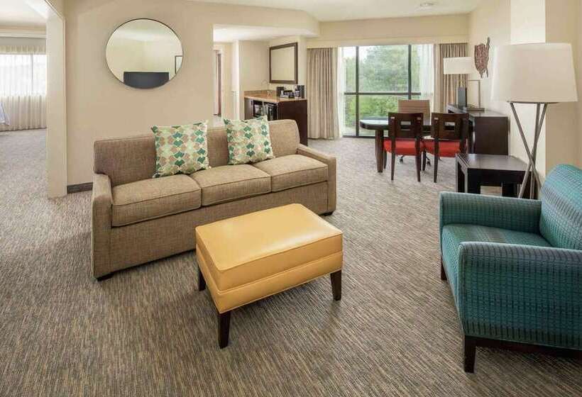 سوئیت 2 خوابه, Embassy Suites San Antonio Riverwalk Downtown