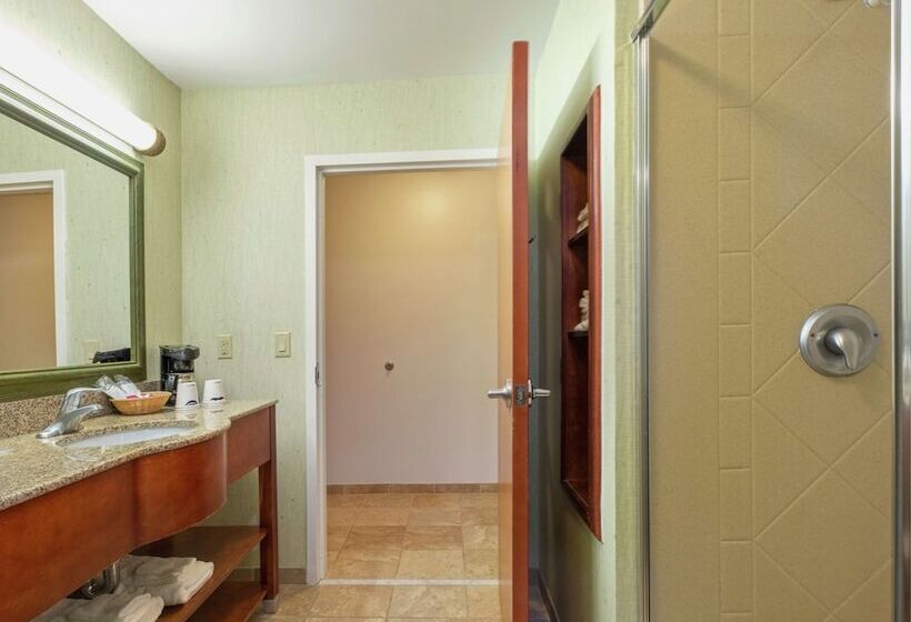 Deluxe Room, Hampton Inn And Suites Rockland