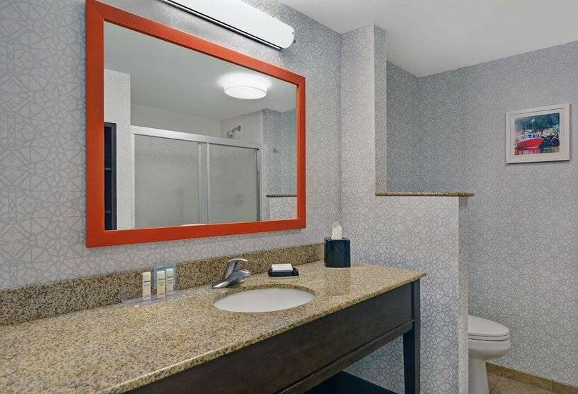 اتاق استاندارد با تخت دوبل, Hampton Inn Bath