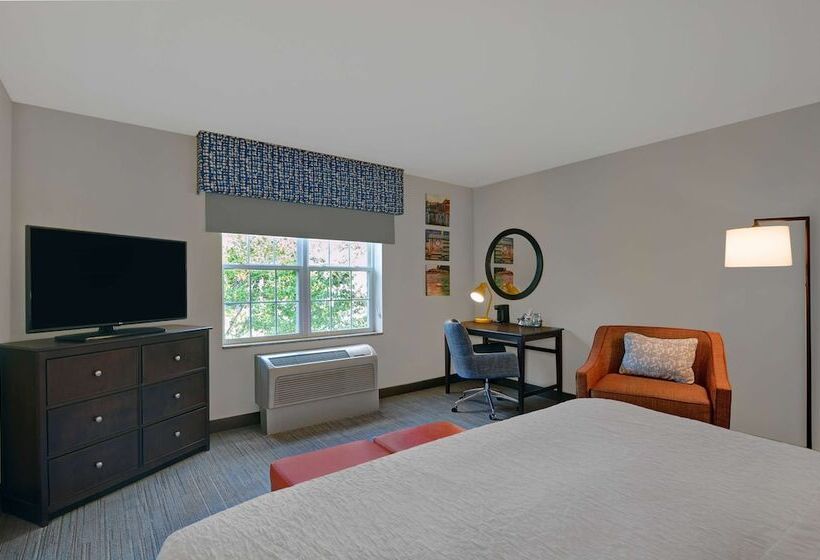 اتاق استاندارد با تخت دوبل, Hampton Inn Bath